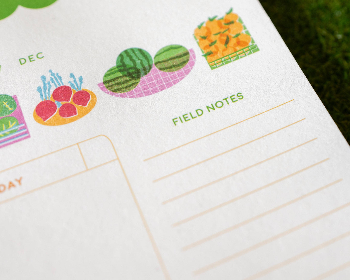 Notebook with stickers of fruits and vegetables on a green grass background