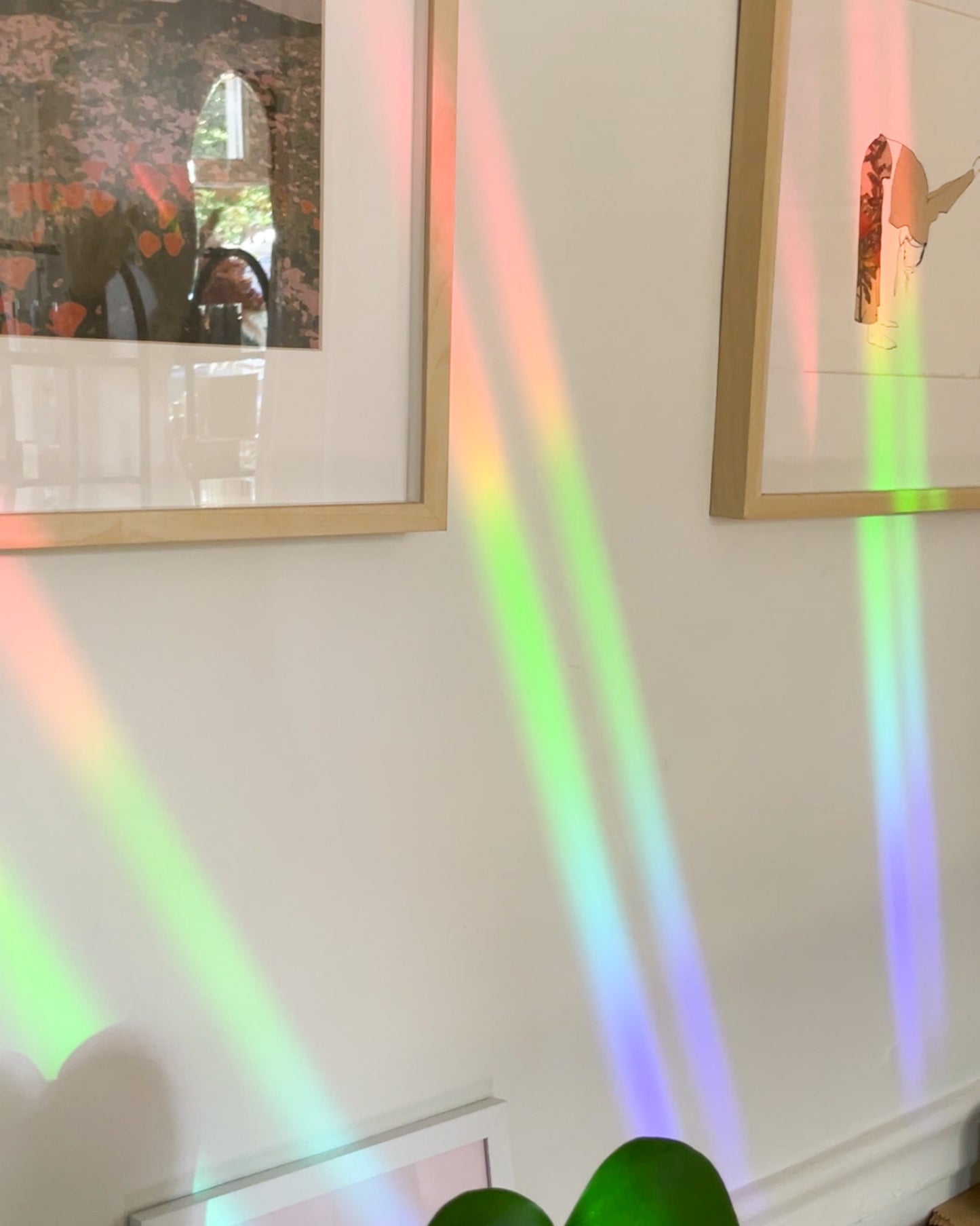 Veggies Sun Catcher Rainbow Maker Decal