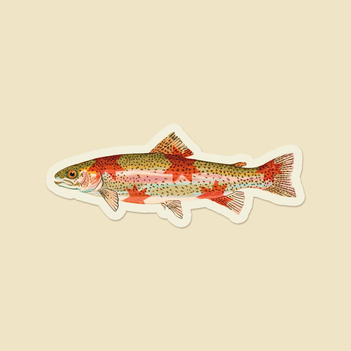 Sticker of a rainbow trout on a beige background