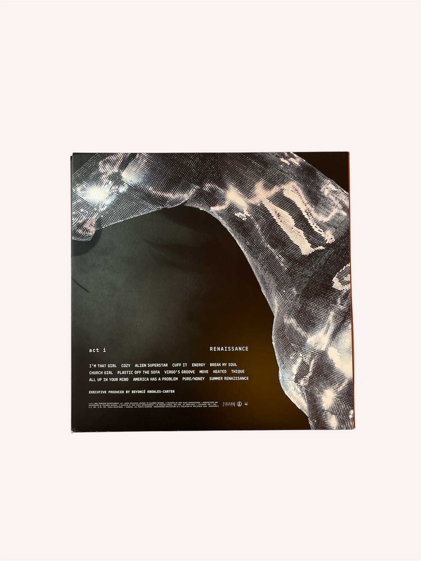 Vinyl record with a disco horse and text on a white background