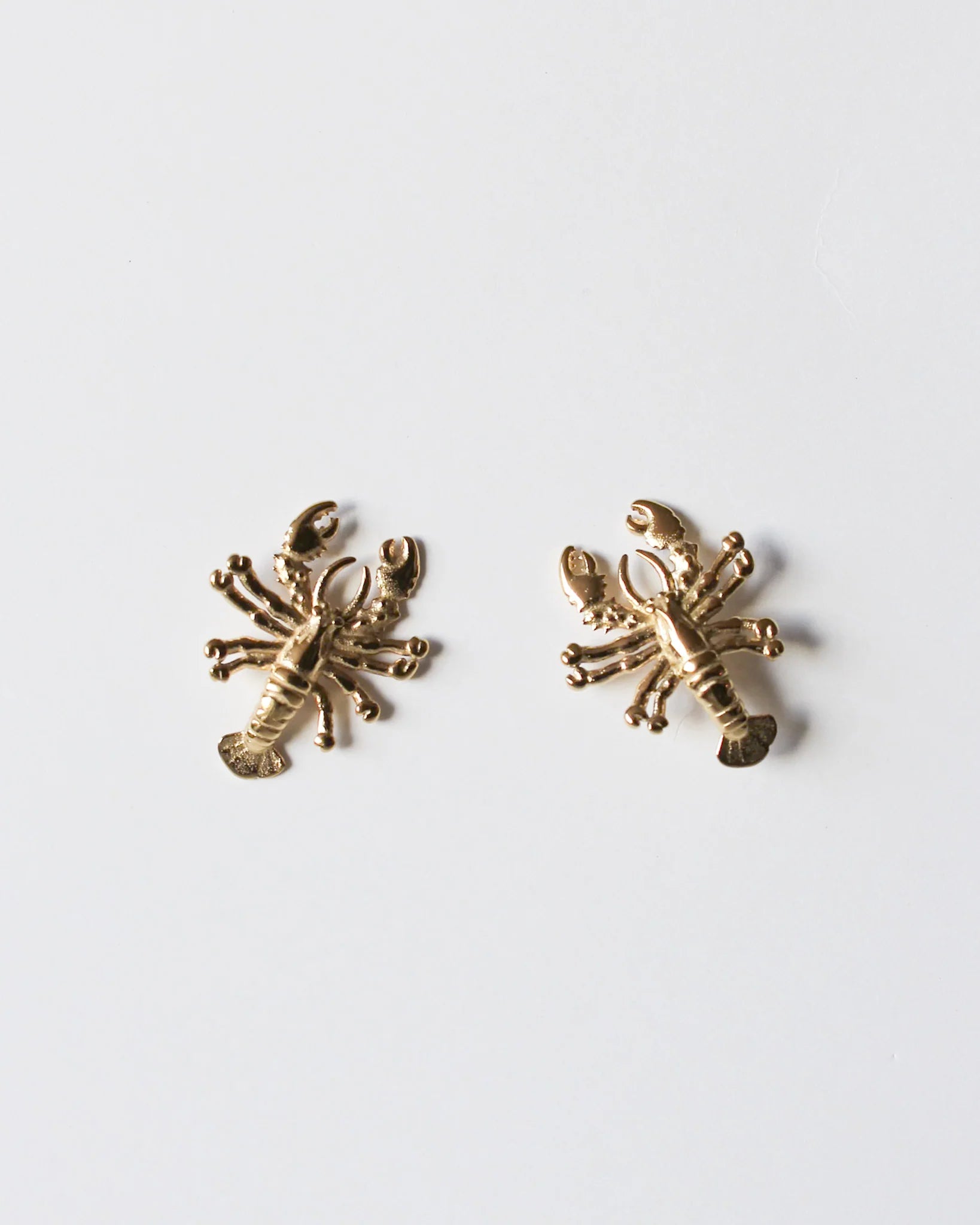 Lobster Stud Earrings