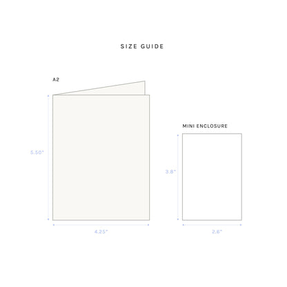 Sardines Mini Note Card