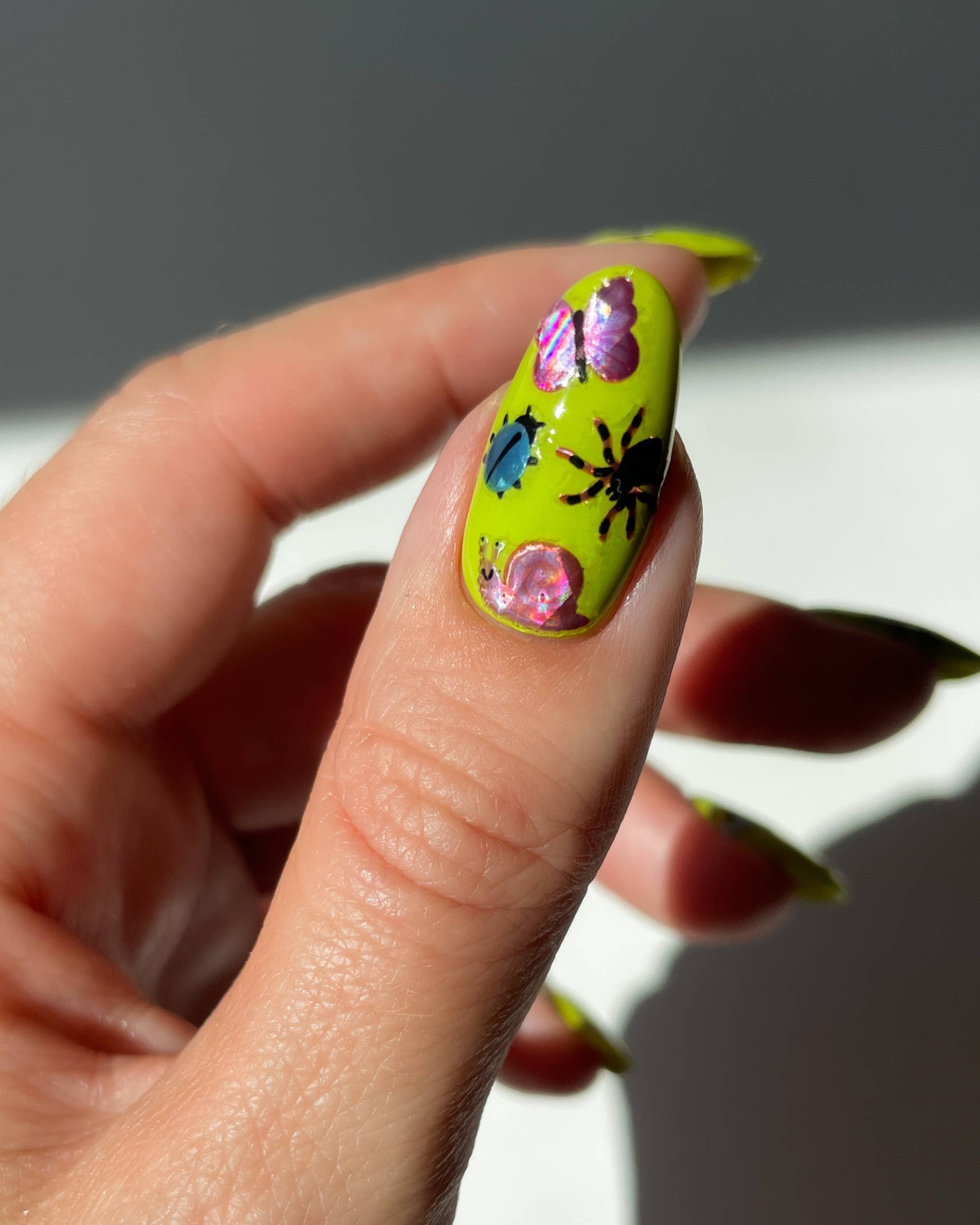 Close-up of a hand with a colorful nail design featuring flowers and a spider.