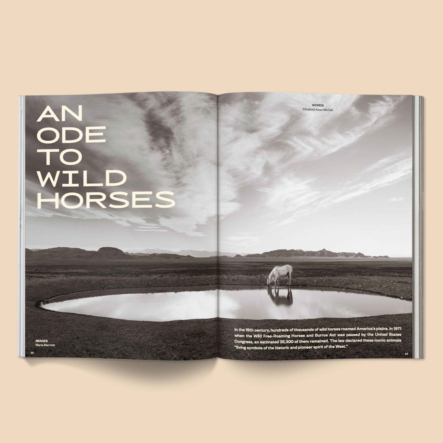 Open magazine spread with a horse by a pool and text about wild horses on a beige background. Calling All Horse Girls Magazine, Vol. 3