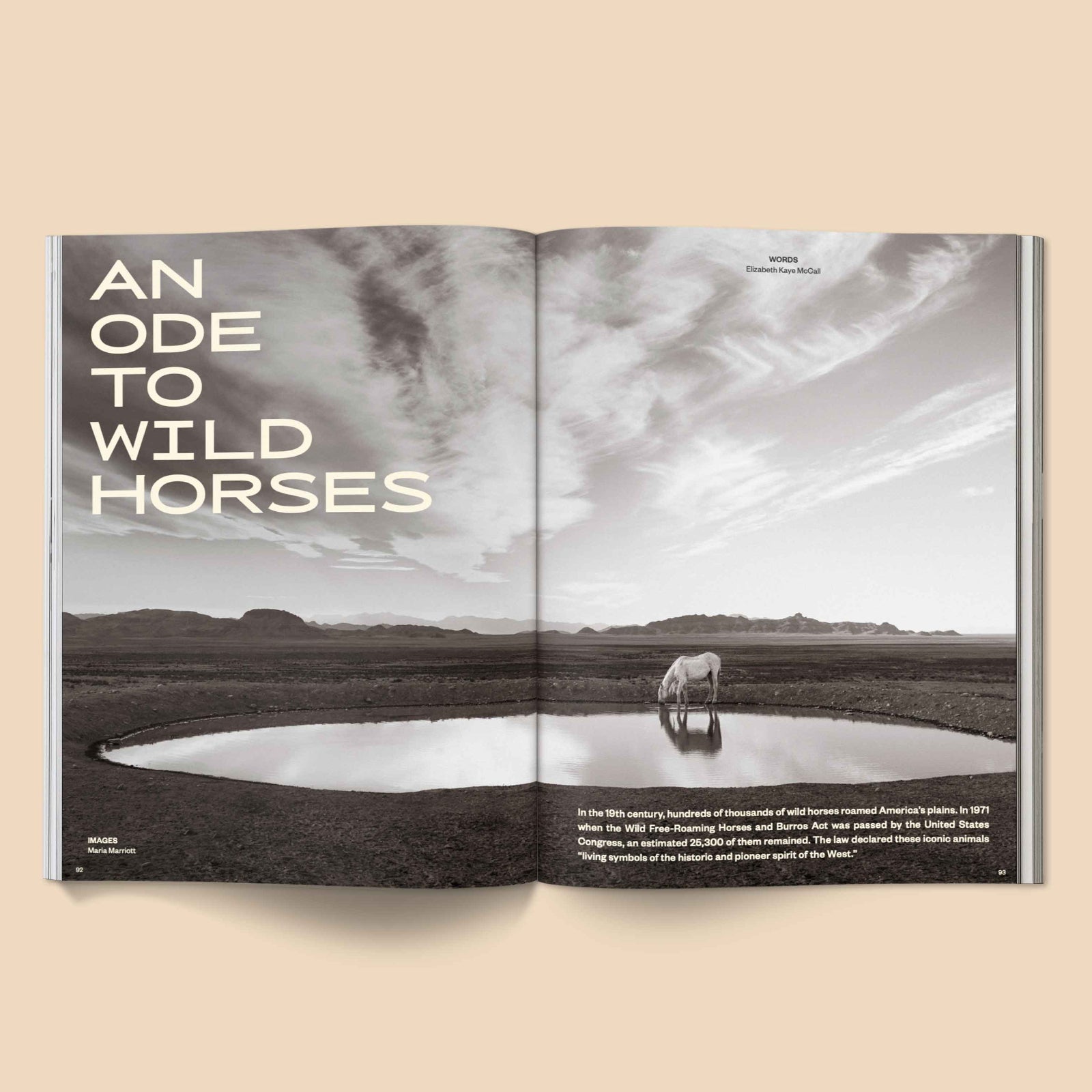 Open magazine spread with a horse by a pool and text about wild horses on a beige background. Calling All Horse Girls Magazine, Vol. 3