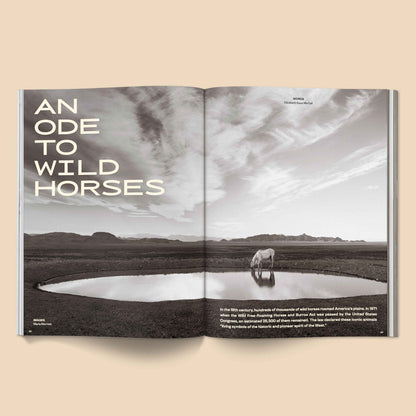 Open magazine spread with a horse by a pool and text about wild horses on a beige background. Calling All Horse Girls Magazine, Vol. 3