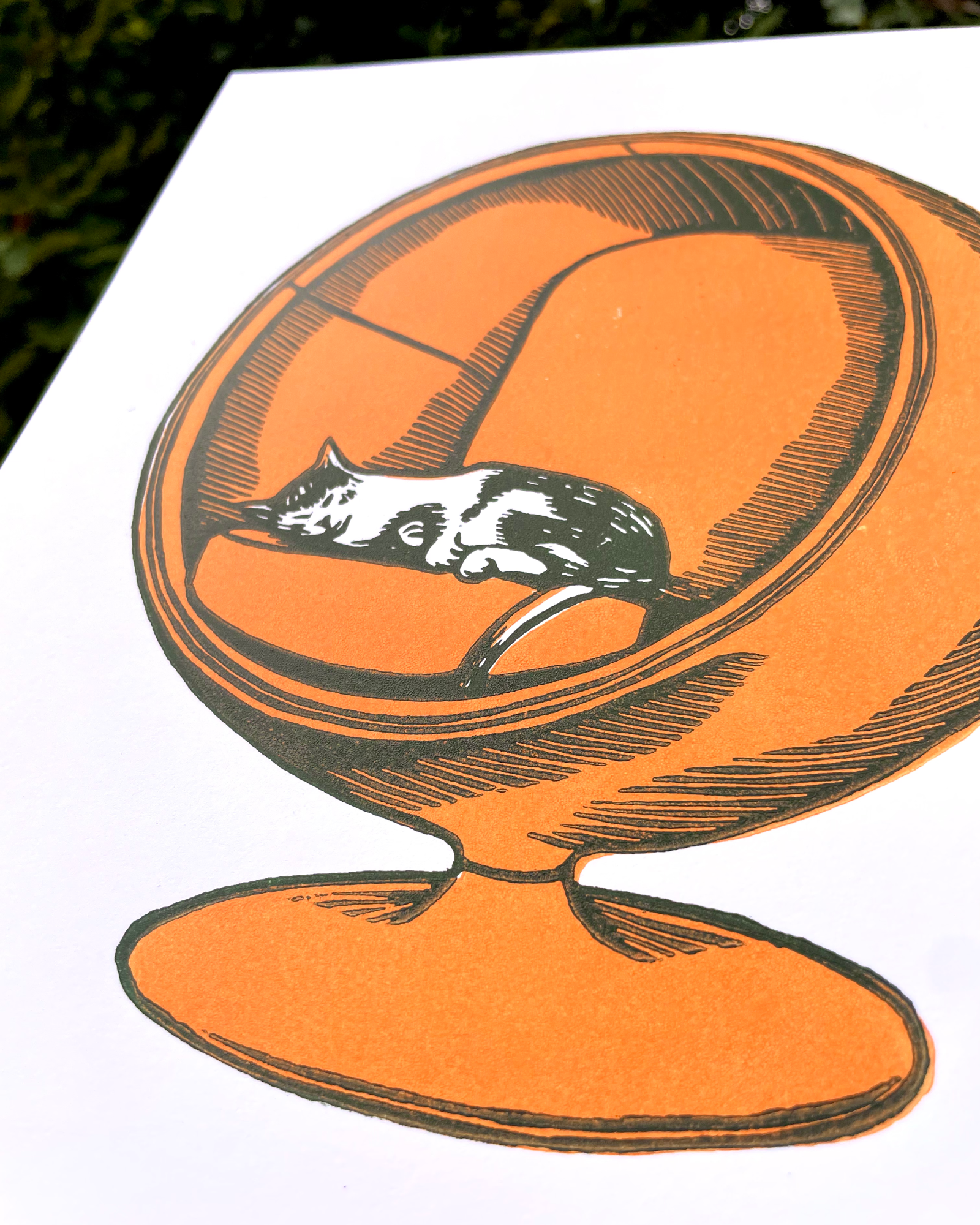 Illustration of a cat inside an orange sphere on a white background