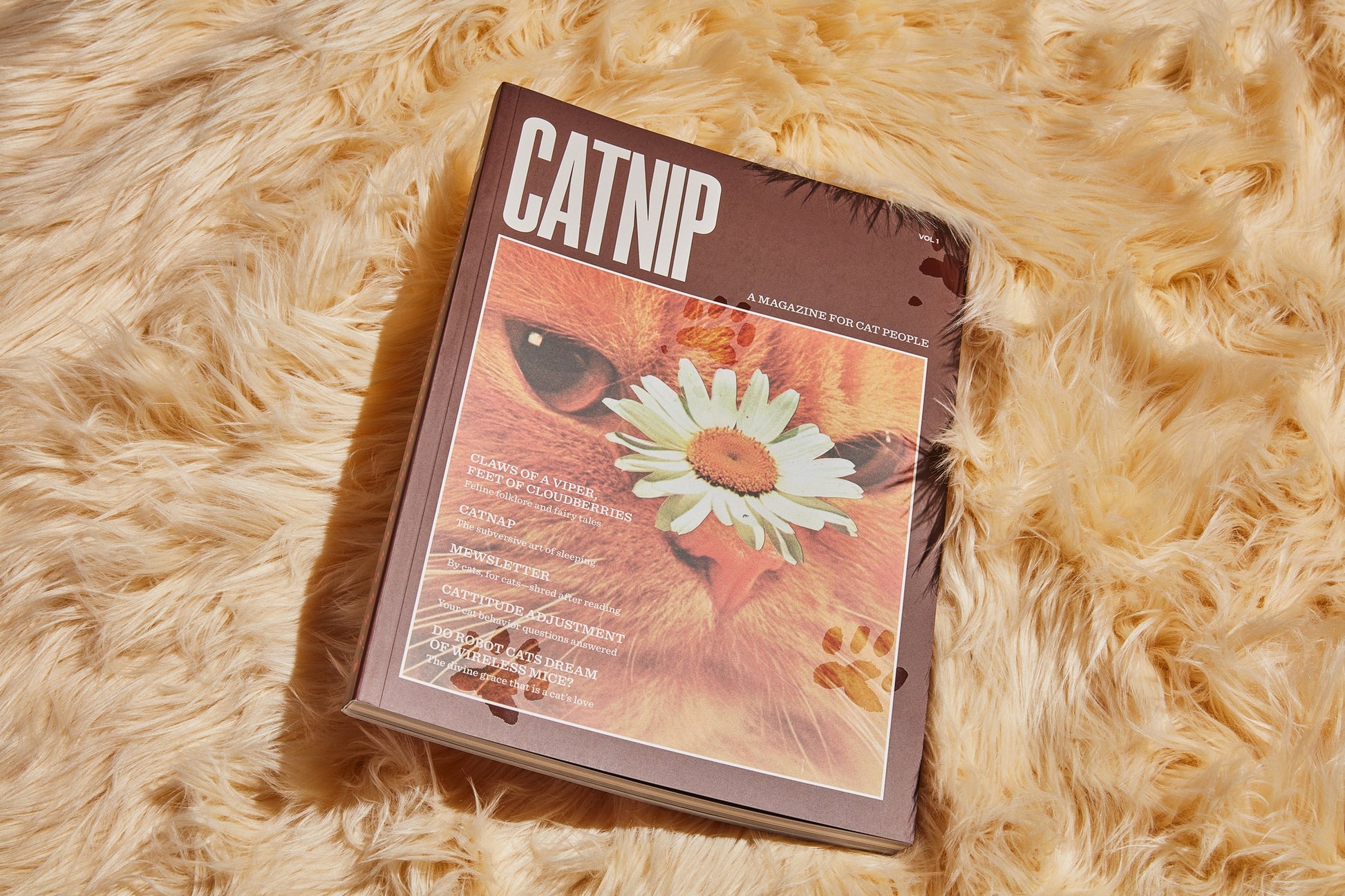 Catnip Magazine - A Magazine for Cat People
