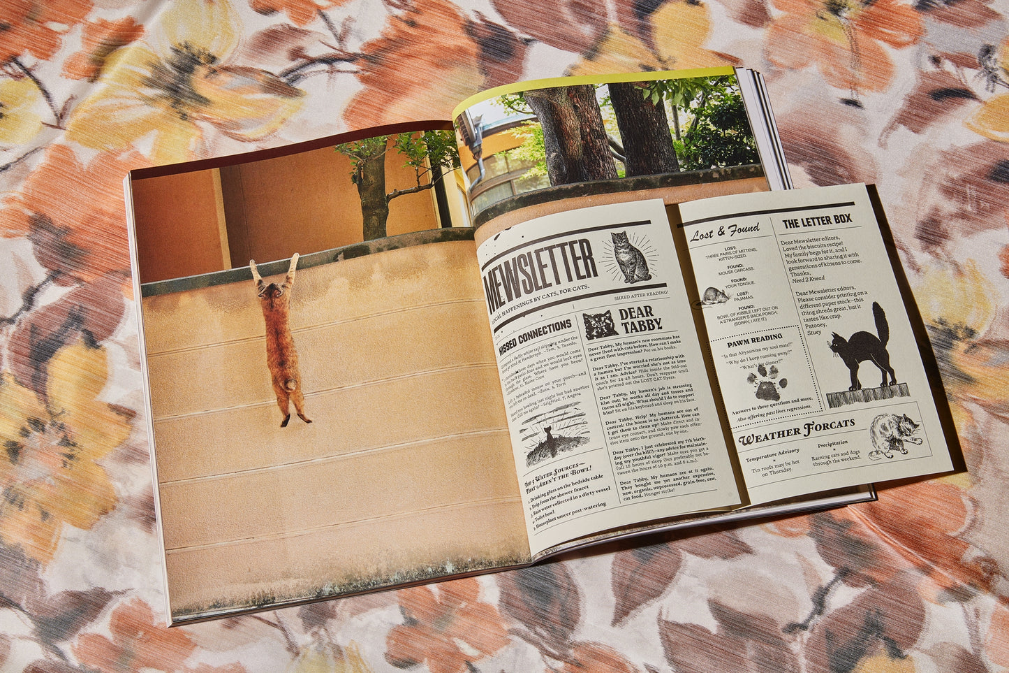 Catnip Magazine - A Magazine for Cat People