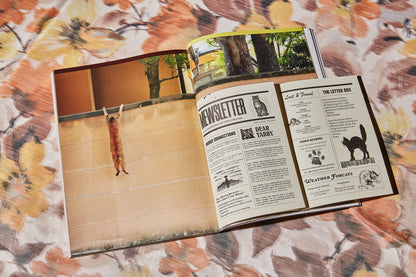 Catnip Magazine - A Magazine for Cat People