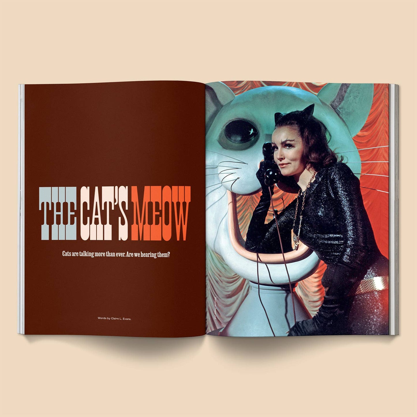 Open book with a cat-themed illustration and text on a beige background