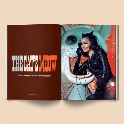 Open book with a cat-themed illustration and text on a beige background