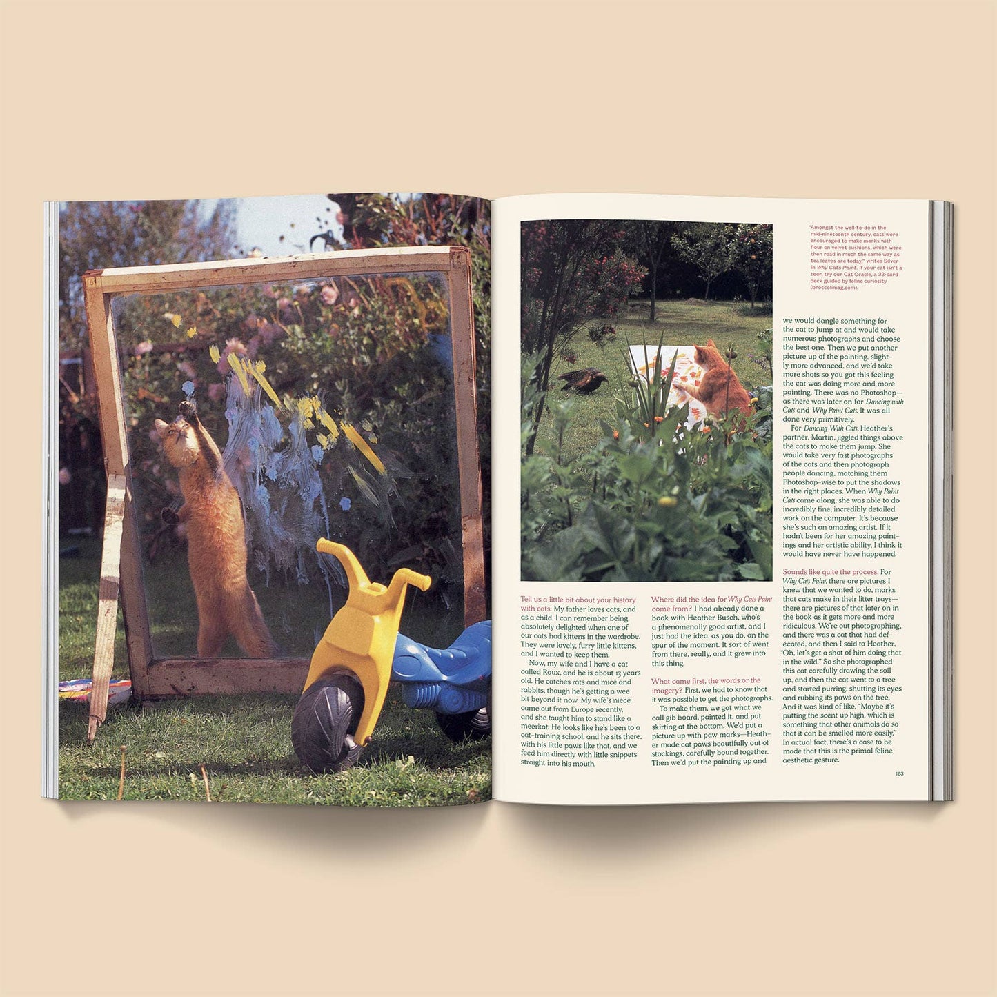 Open book showing a photograph of a child playing with a toy in a garden.