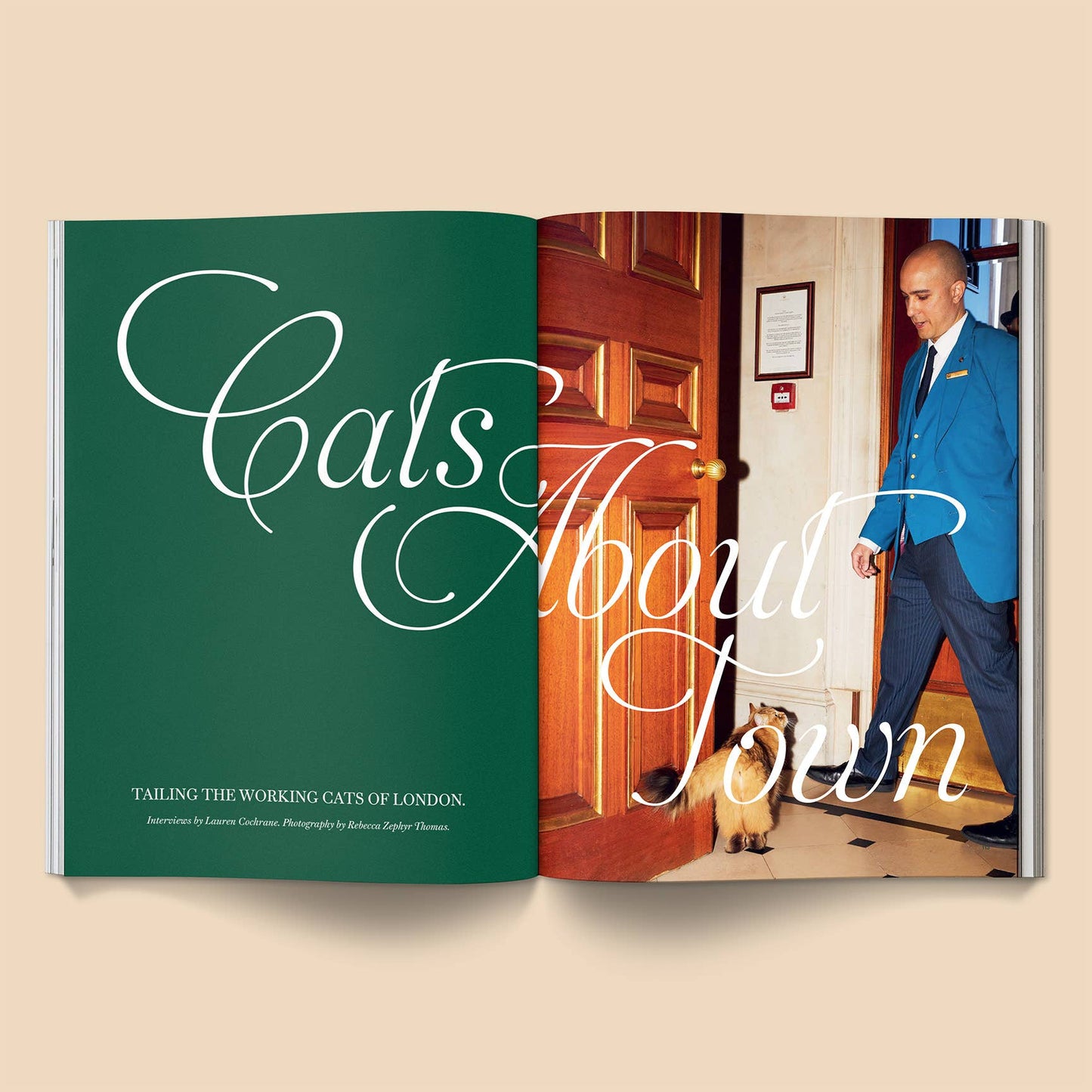 Book titled 'Cats About Town' with a man in a blue suit and dog on a beige background