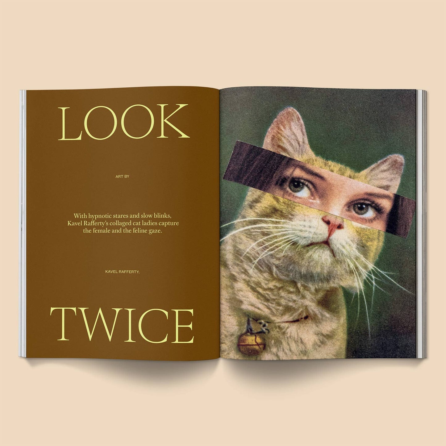Open book with a cat's face and text on a beige background