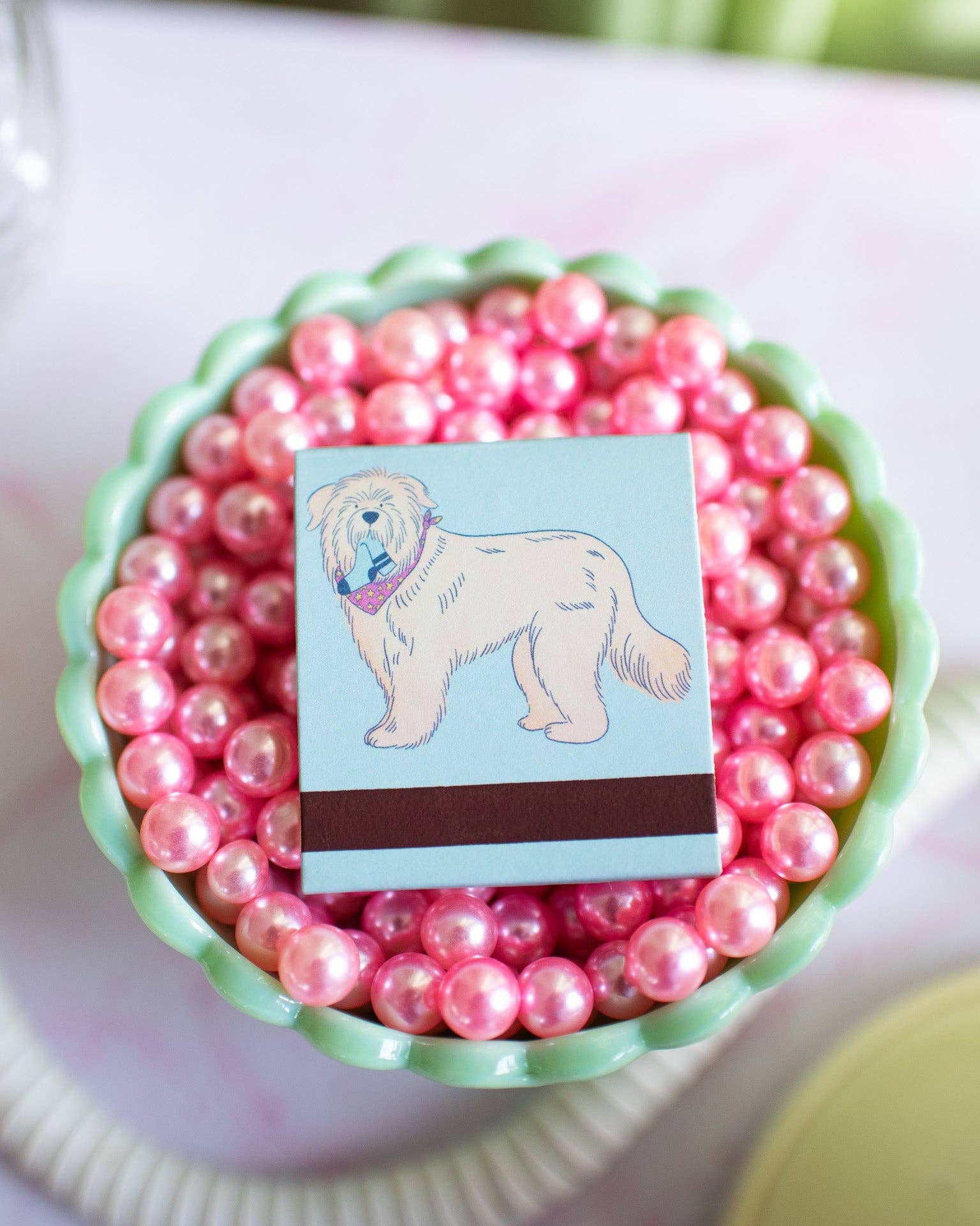 Dog Matchbook