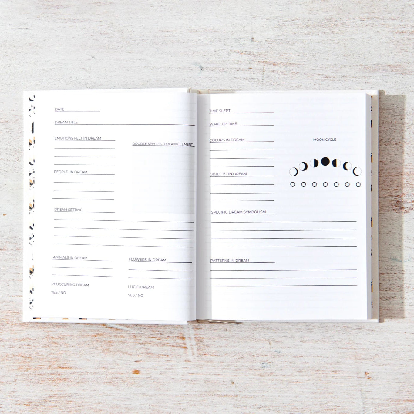 Dream Journal