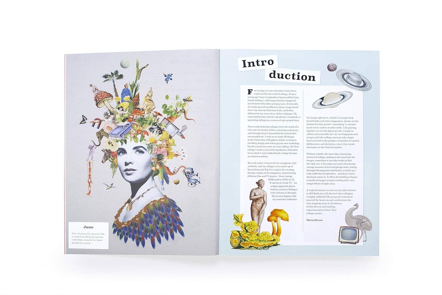 Open book with colorful illustration on left page and text on right page.