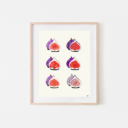 Figs Art Print