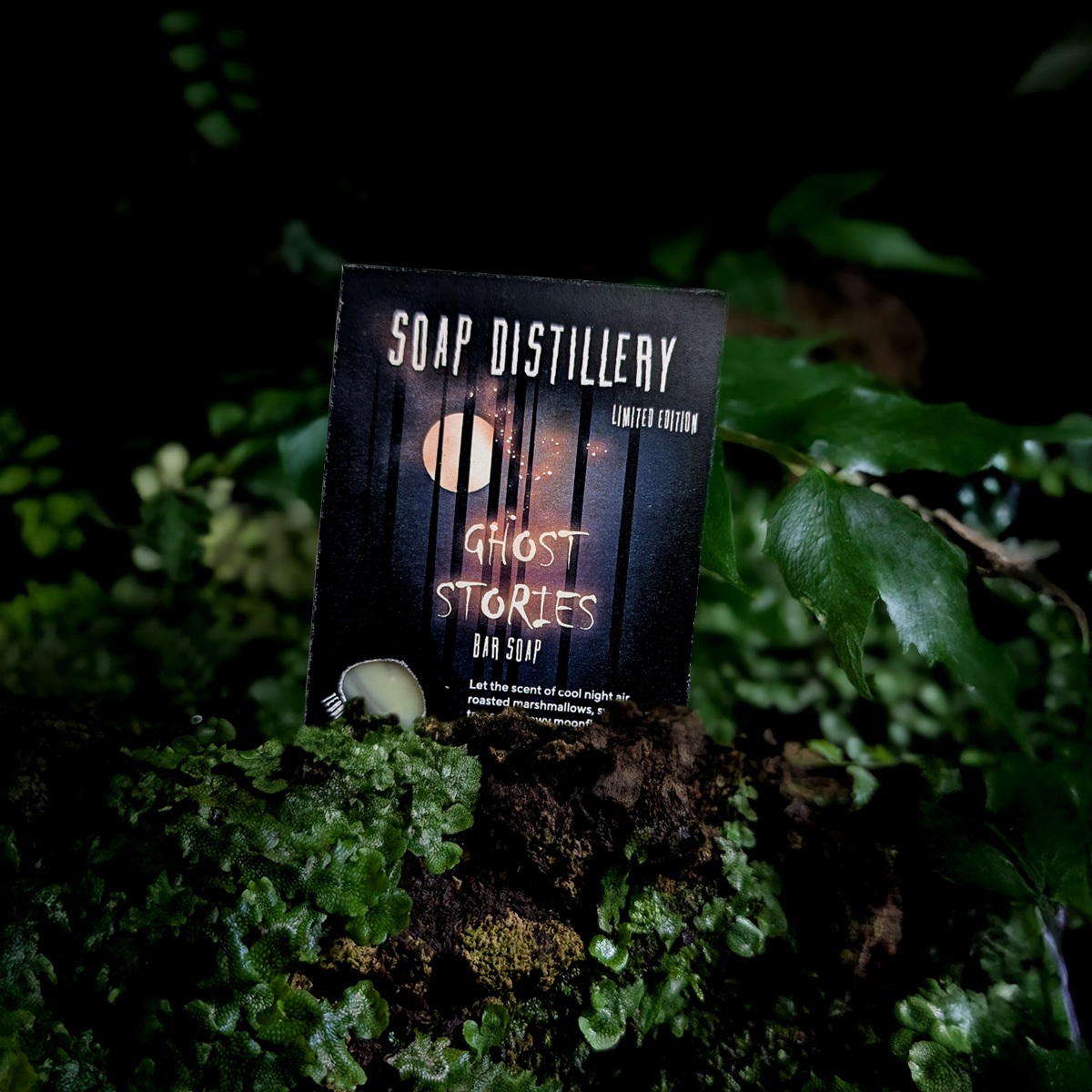A rectangular bar of Soap Distillery 'Ghost Stories' Dan Soap stands upright on mossy ground among green leaves in a dark outdoor setting. The packaging is black with white and orange text and a ghost illustration.
