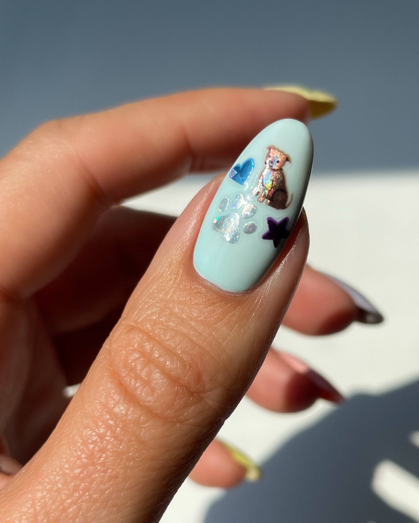 Nail with light blue polish, star, and bear design held by a hand against a blurred background