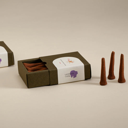 Incense cones with a box on a beige background