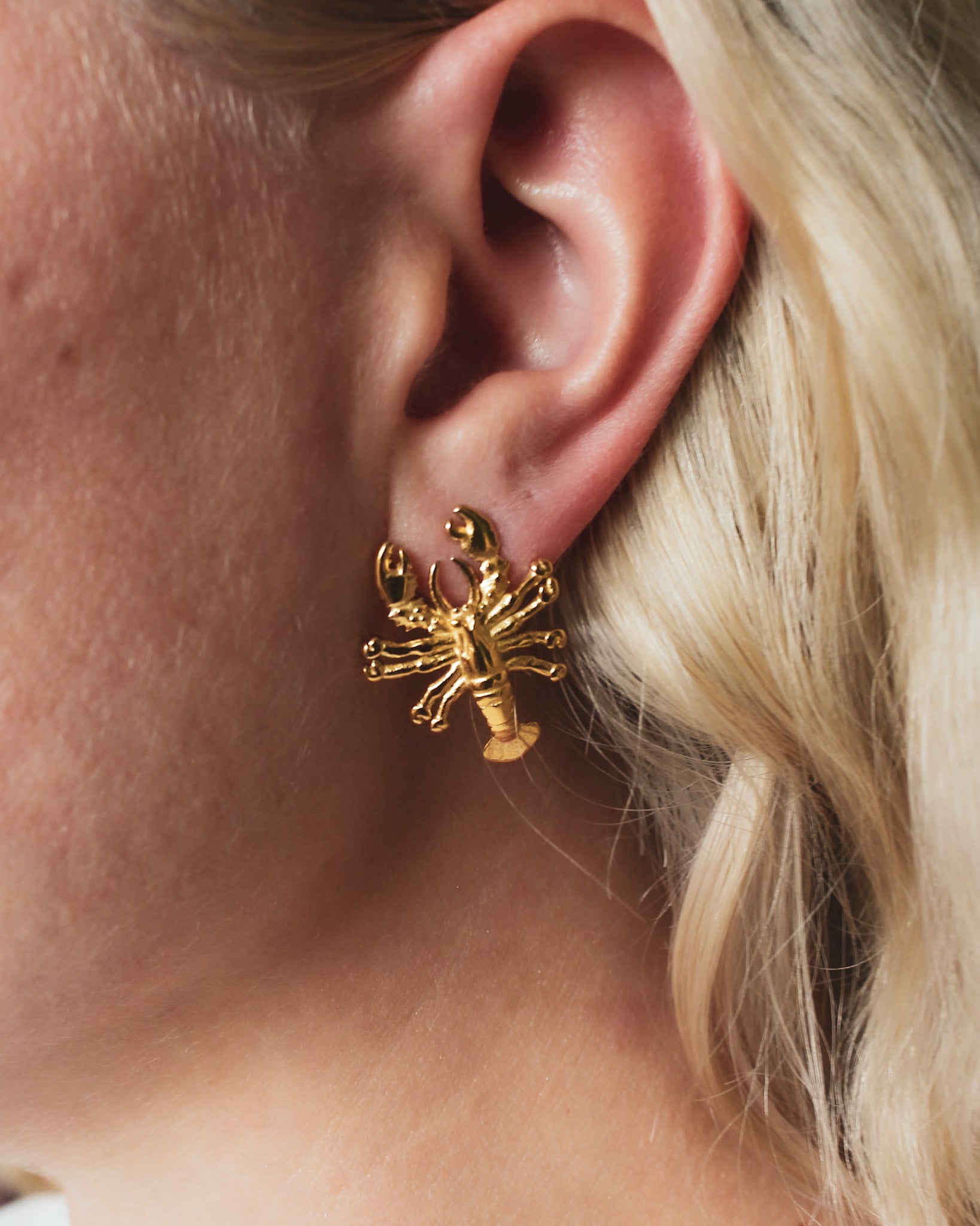 Lobster Stud Earrings