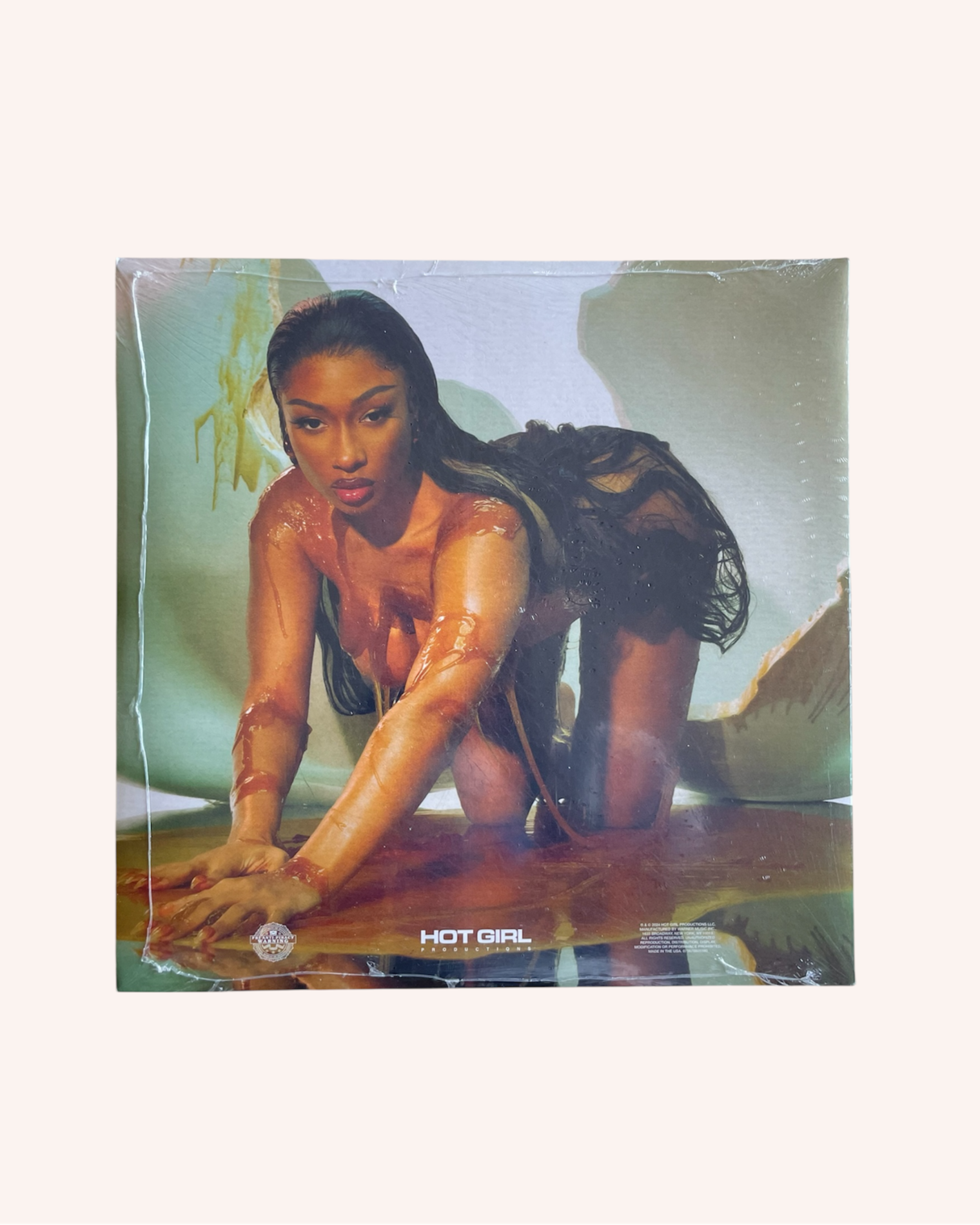 Megan Vinyl Record - Megan Thee Stallion