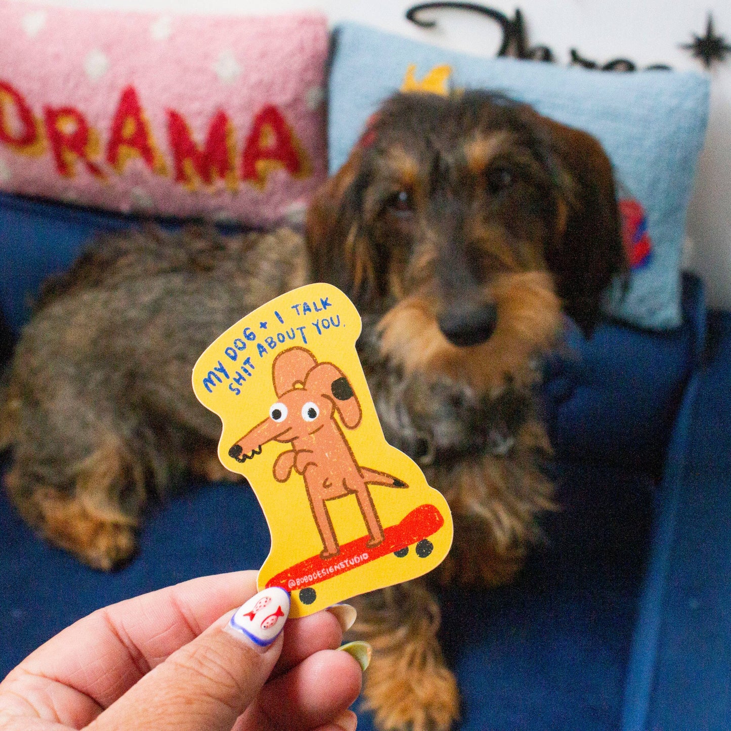Dog with a 'Drama' pillow and a hand holding a yellow dog-shaped card.