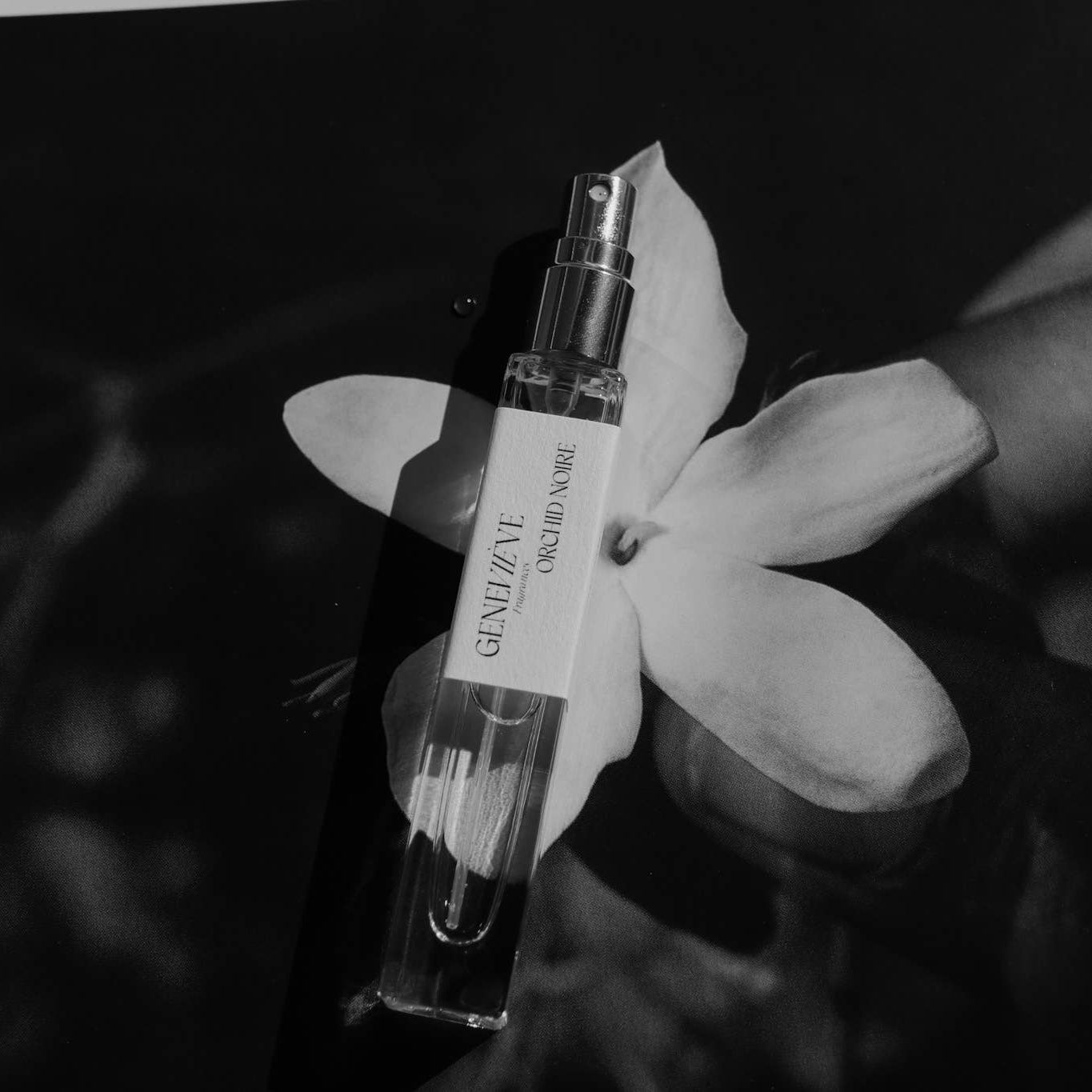 Small perfume bottle held between two white flowers with a blurred background