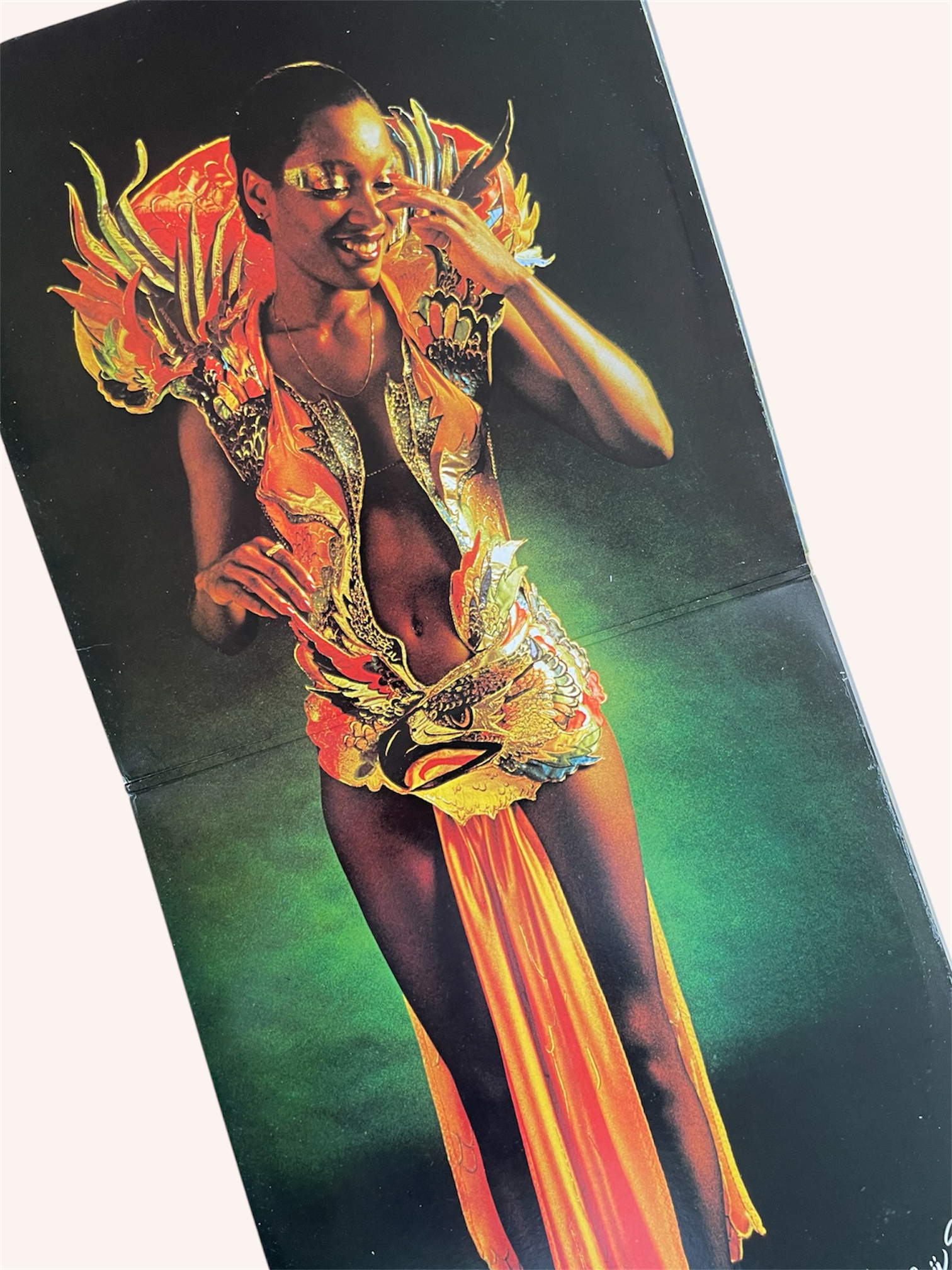 Paradise_Bird_Vinyl_Record_-_Amii_Stewart