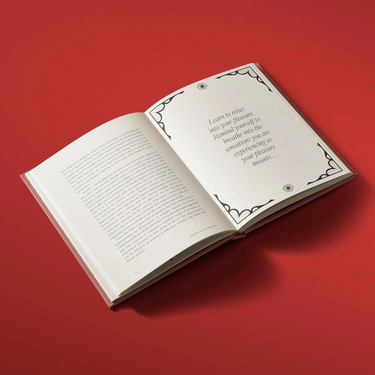 Pleasure: The Keys to Female Sensual Delights Book