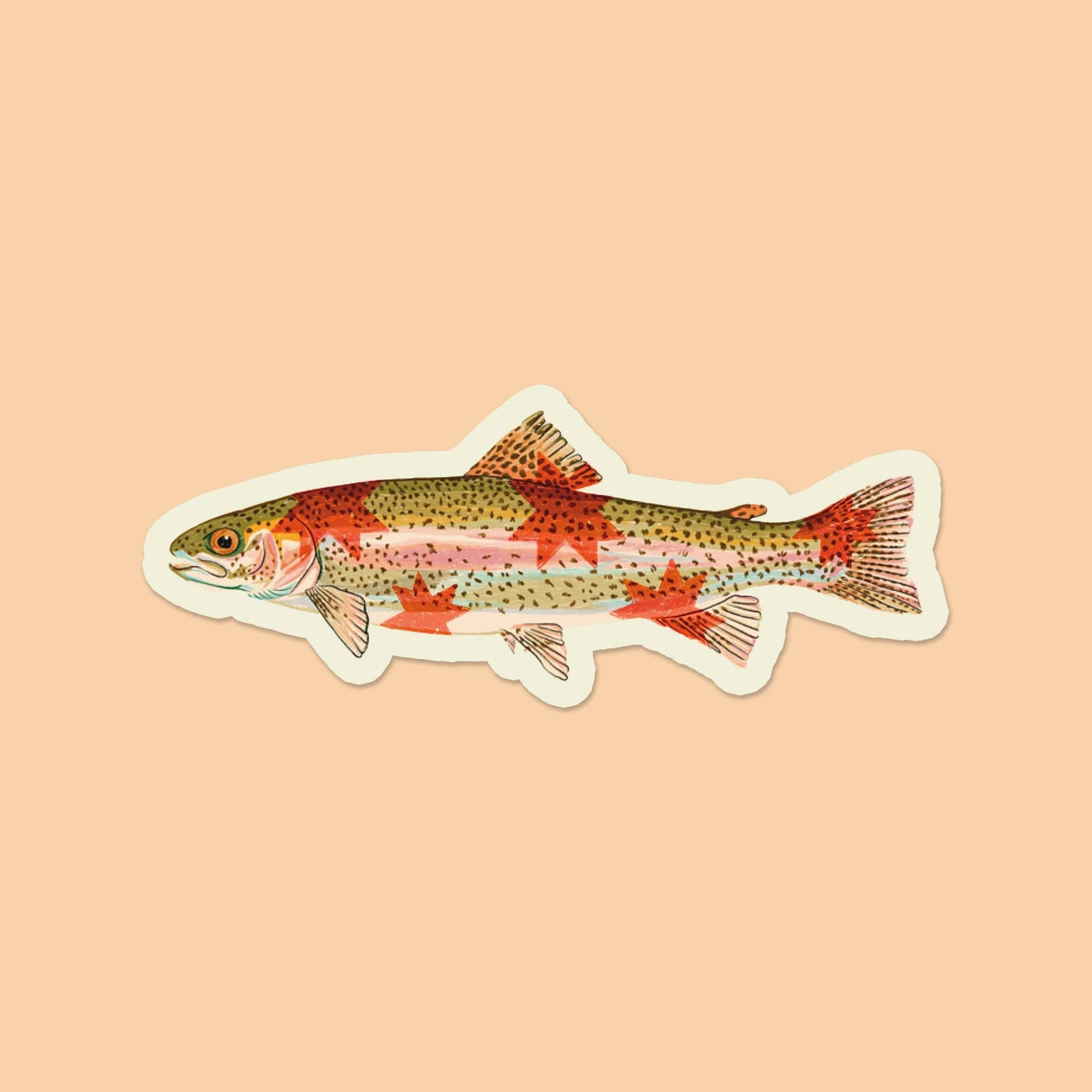 Sticker of a rainbow trout on a beige background