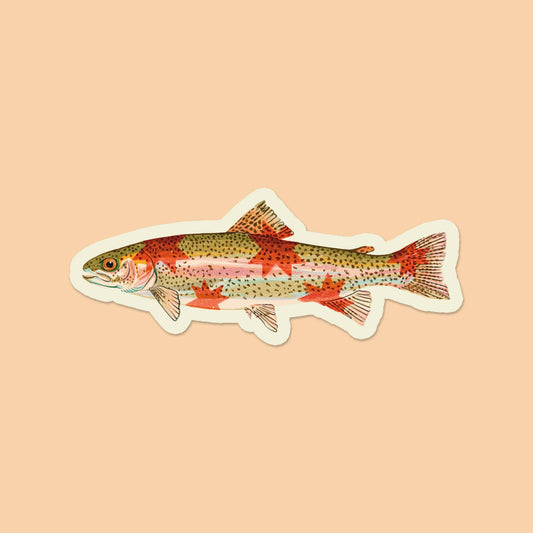 Sticker of a rainbow trout on a beige background