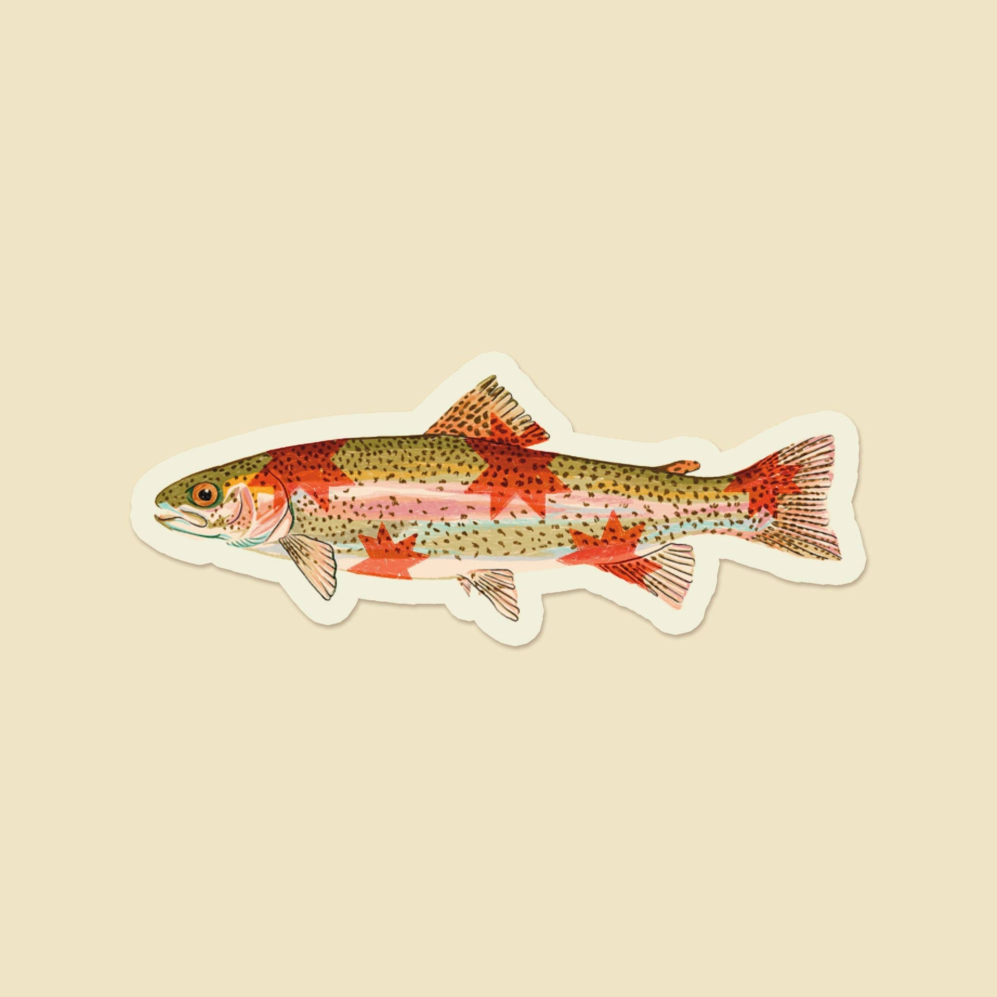 Sticker of a rainbow trout on a beige background