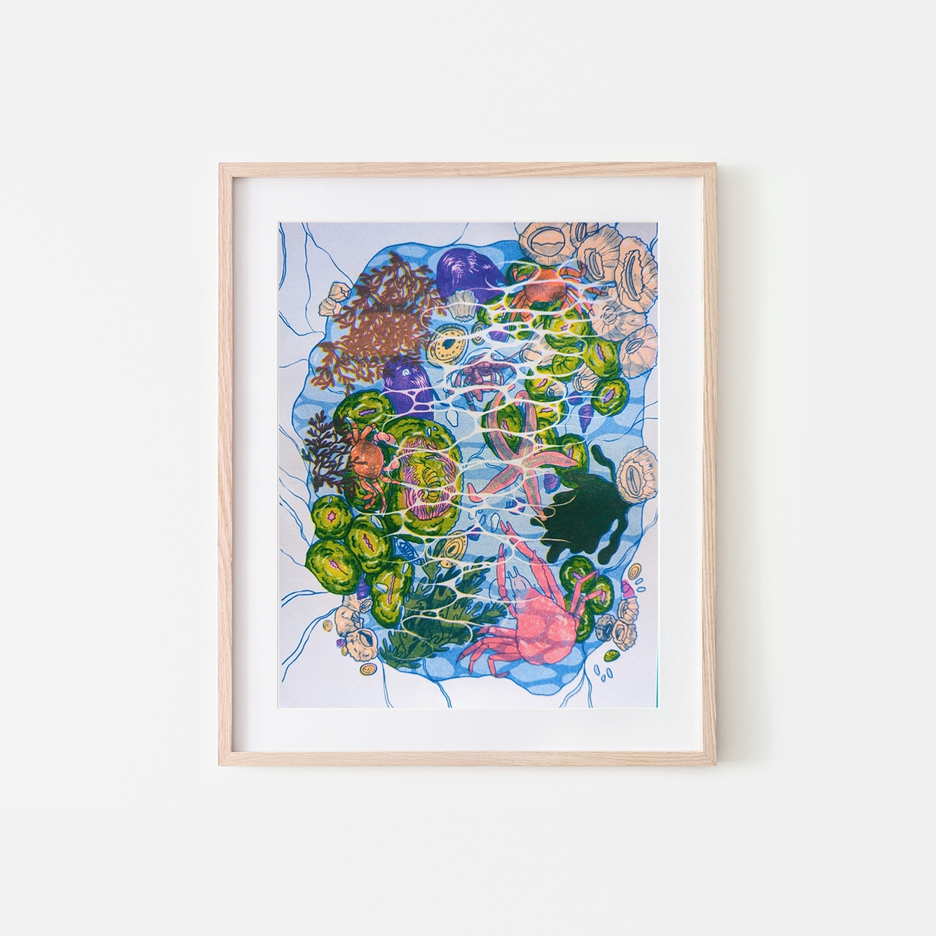 Framed artwork of colorful sea creatures on a white wall, San Juan Tidepools Risograph Art Print, Christina Hu