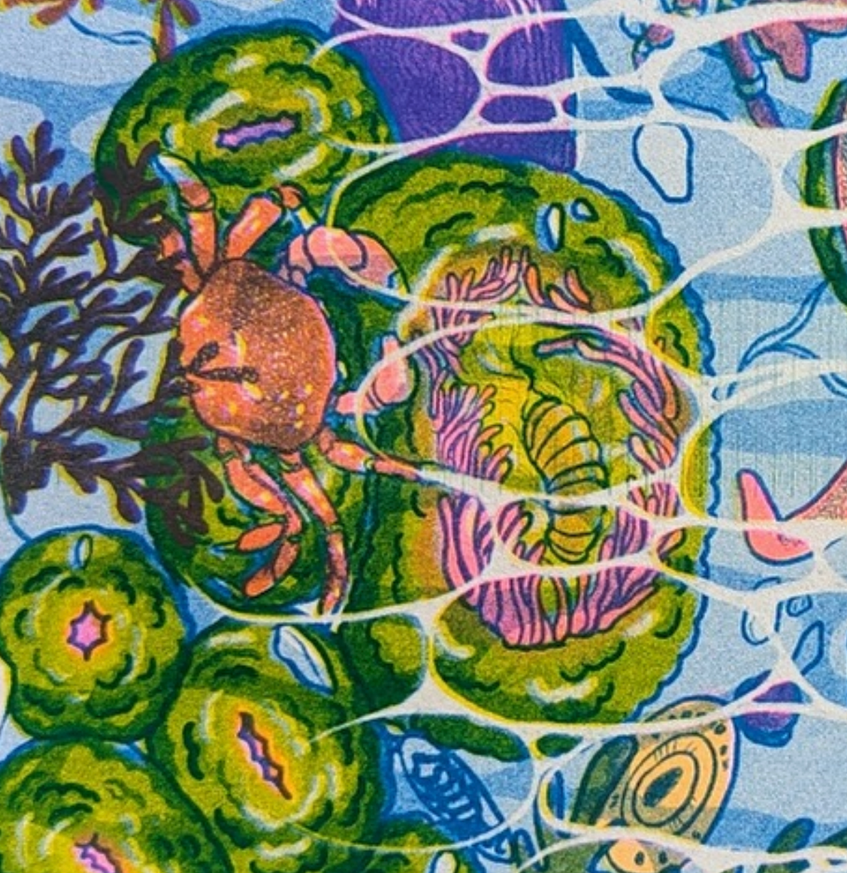 Colorful pattern with a crab and sea anemones on a blue background, San Juan Tidepools Risograph Art Print, Christina Hu