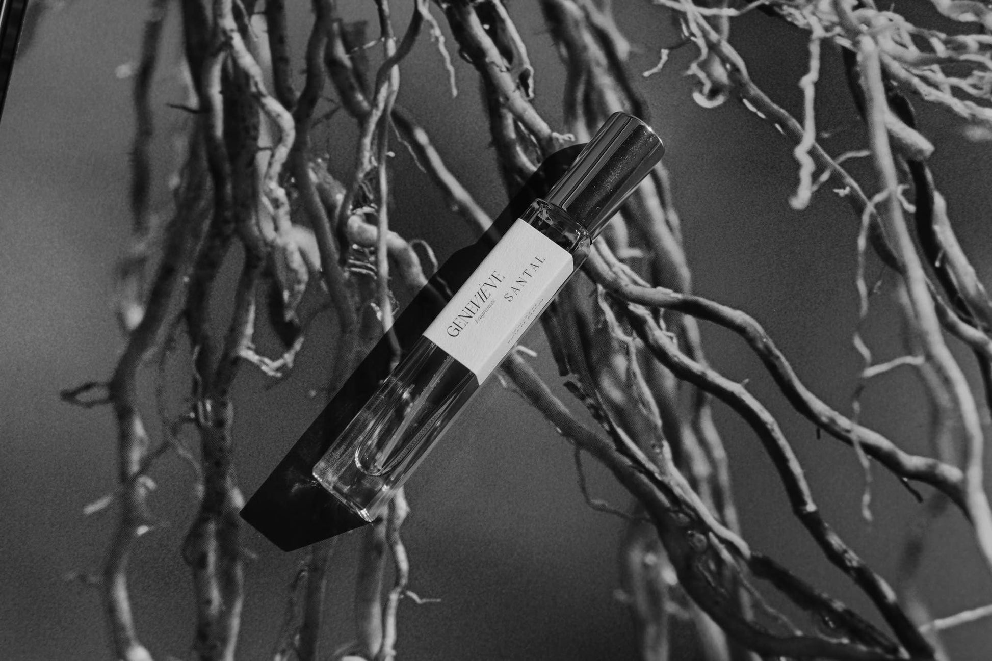 Perfume bottle with a label on a branch against a dark background