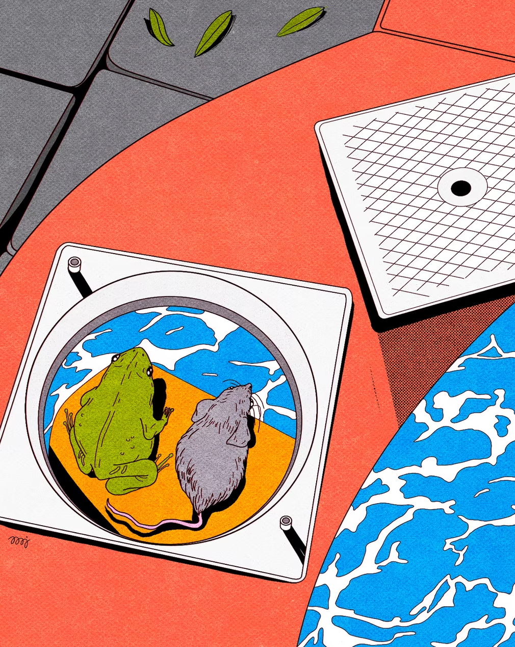 Maria Jesus Contreras